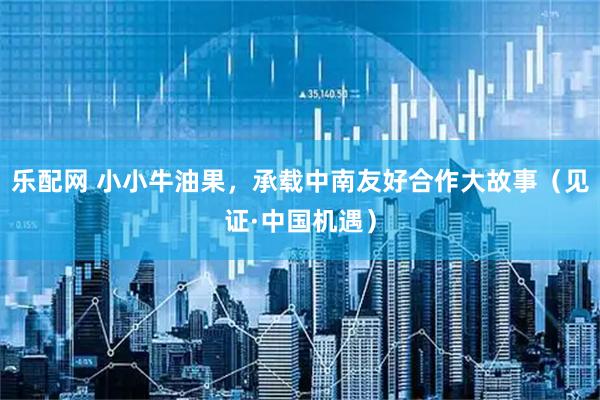 乐配网 小小牛油果，承载中南友好合作大故事（见证·中国机遇）