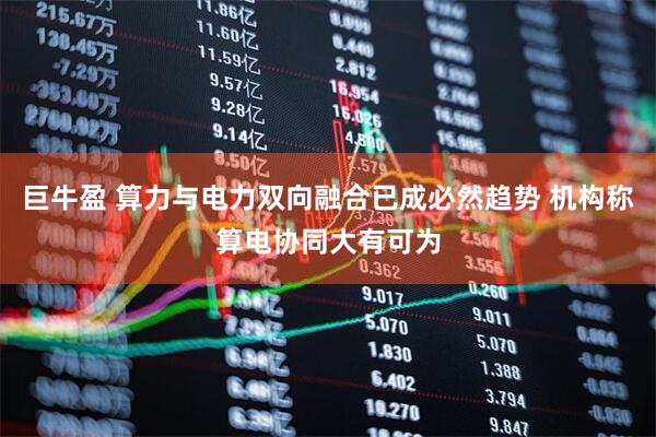 巨牛盈 算力与电力双向融合已成必然趋势 机构称算电协同大有可为